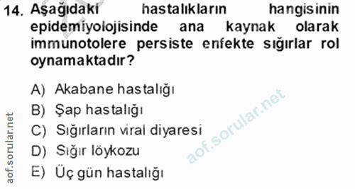 Soru 14