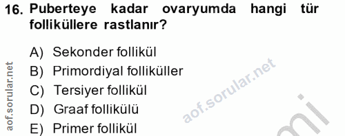 Soru 16