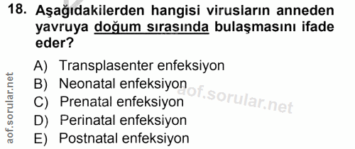 Soru 18