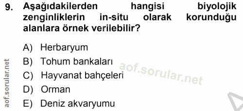 Soru 9