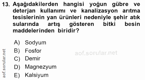 Soru 13