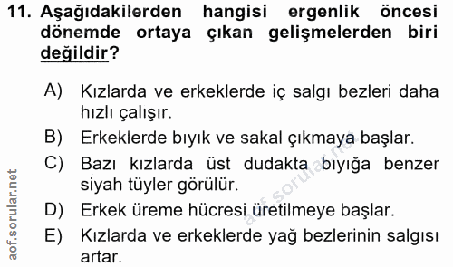 Soru 11