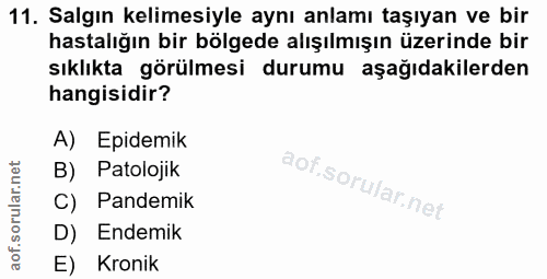 Soru 11