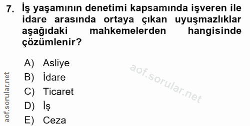 Soru 7