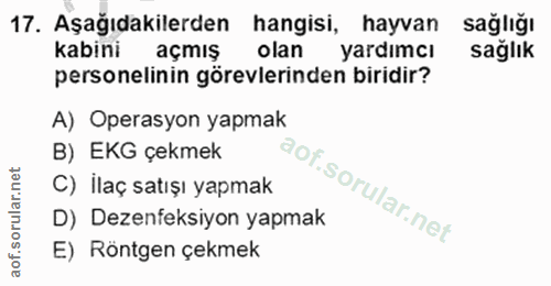 Soru 17