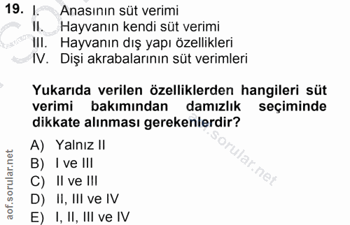 Soru 19