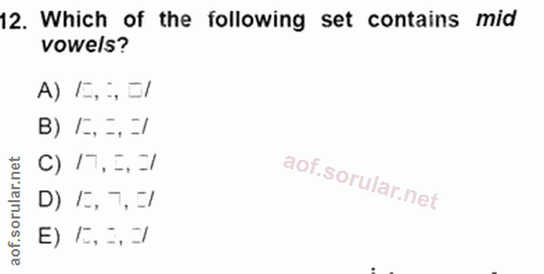 Soru 12