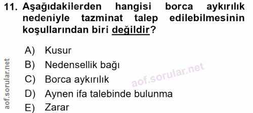 Soru 11