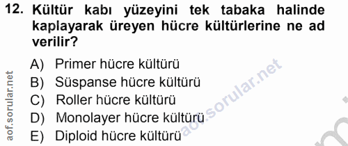 Soru 12