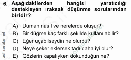 Soru 6