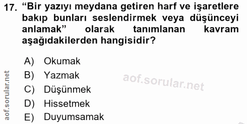 Soru 17