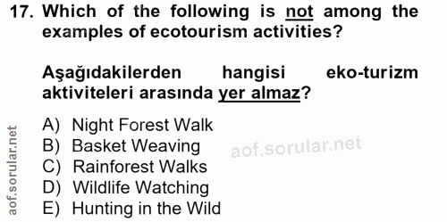Soru 17
