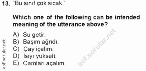 Soru 13