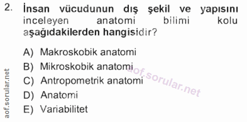 Soru 2