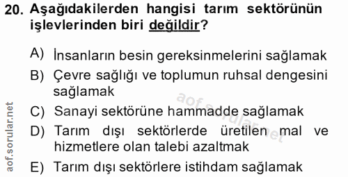Soru 20