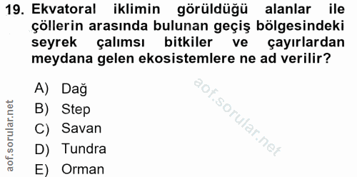 Soru 19