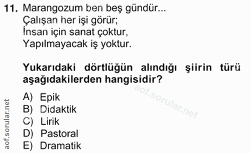 Soru 11