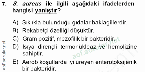 Soru 7