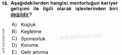 Soru 16