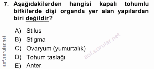 Soru 7