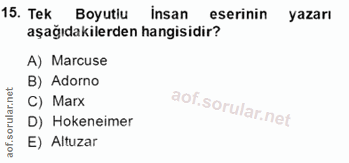 Soru 15