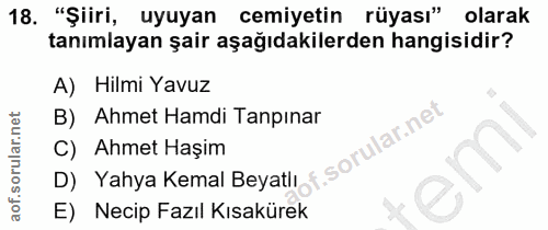 Soru 18