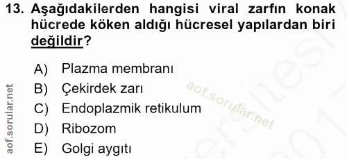 Soru 13