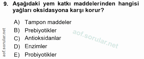 Soru 9