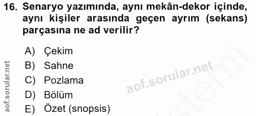 Soru 16