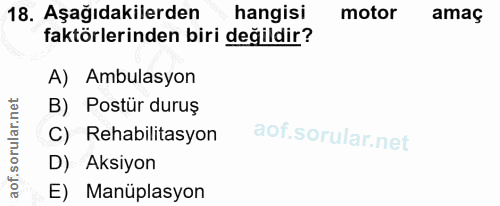 Soru 18