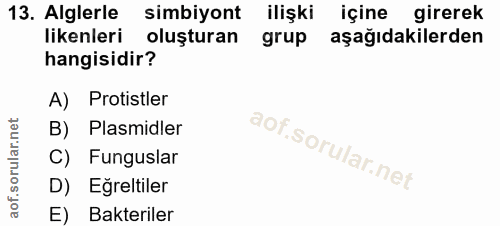 Soru 13