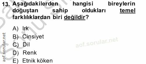Soru 13