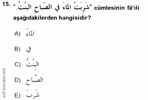Soru 15