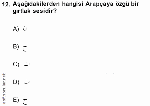 Soru 12