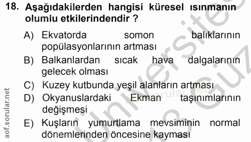 Soru 18
