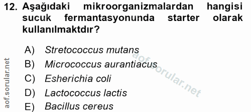 Soru 12