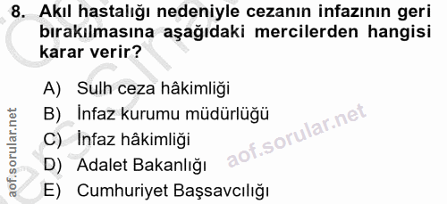 Soru 8
