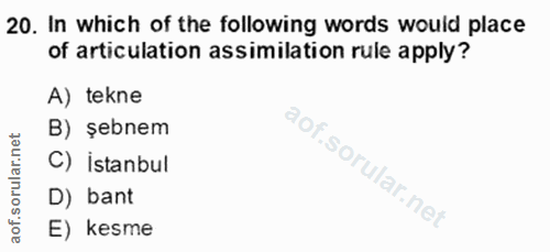 Soru 20