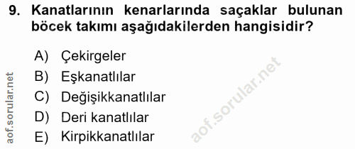 Soru 9