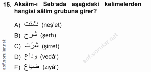 Soru 15