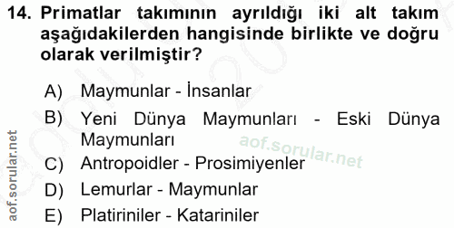 Soru 14