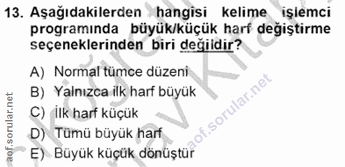 Soru 13