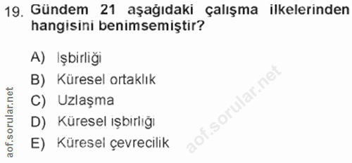 Soru 19