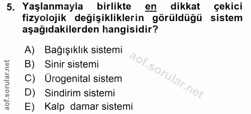 Soru 5
