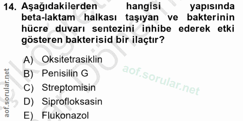 Soru 14