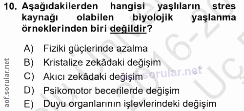 Soru 10