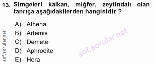 Soru 13