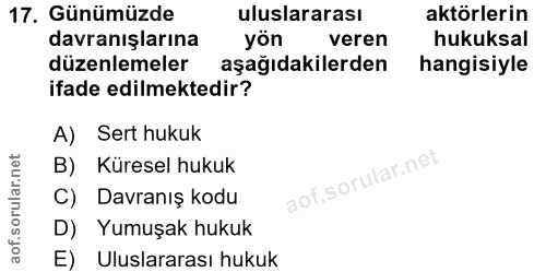 Soru 17
