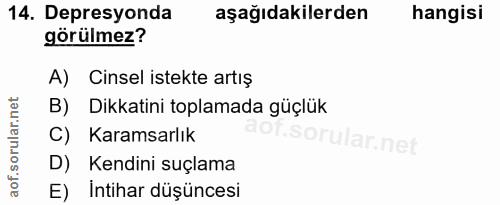 Soru 14