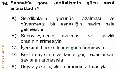 Soru 16